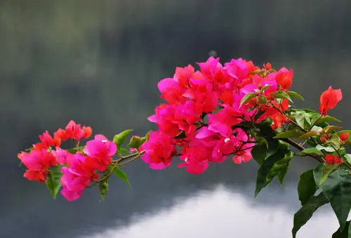 Phân tích tình hình và xu hướng phát triển của ngành công nghiệp kệ hàng của Trung Quốc